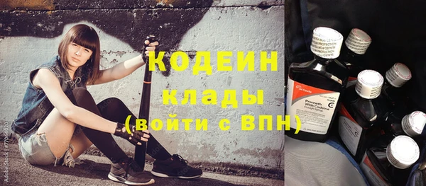 прущие грибы Куйбышев