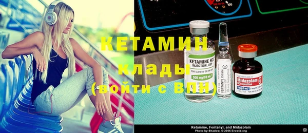 прущие грибы Куйбышев