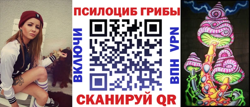 Купить закладки Калязин Псилоцибиновые грибы Psilocybe